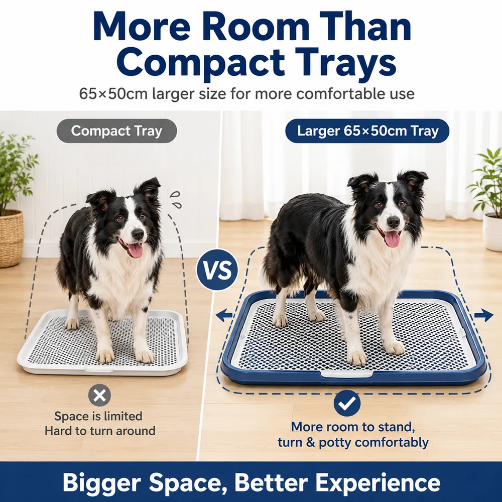 Dog Potty Tray With Removable Grating 9