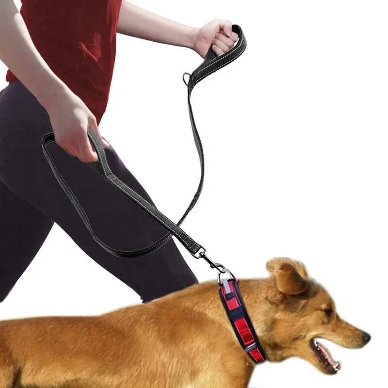Pet Double Handle Pull Leash 3