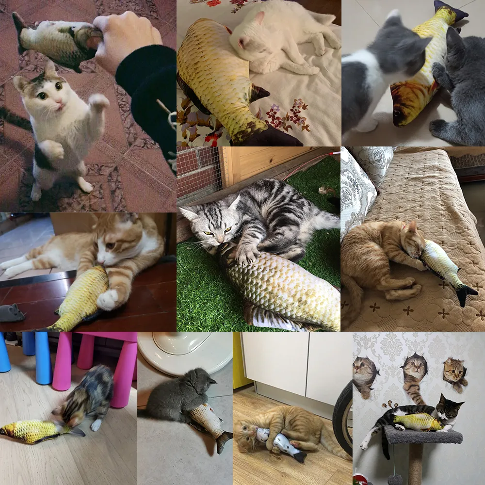 Without Cat Nip Version 75