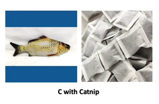 Without Cat Nip Version 29