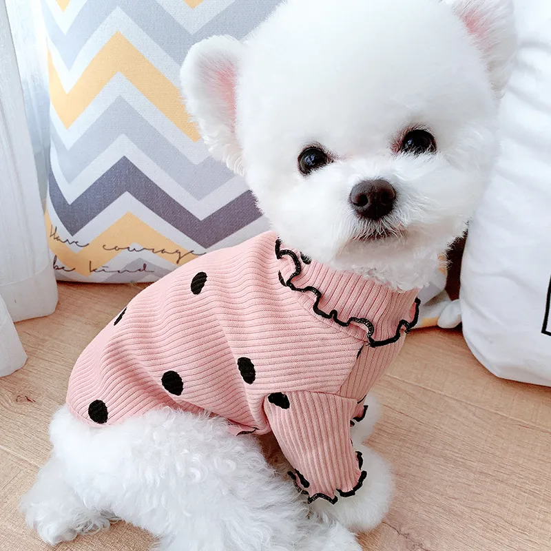 Dot turtleneck dog bottoming shirt 5