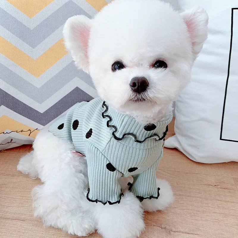 Dot turtleneck dog bottoming shirt 4