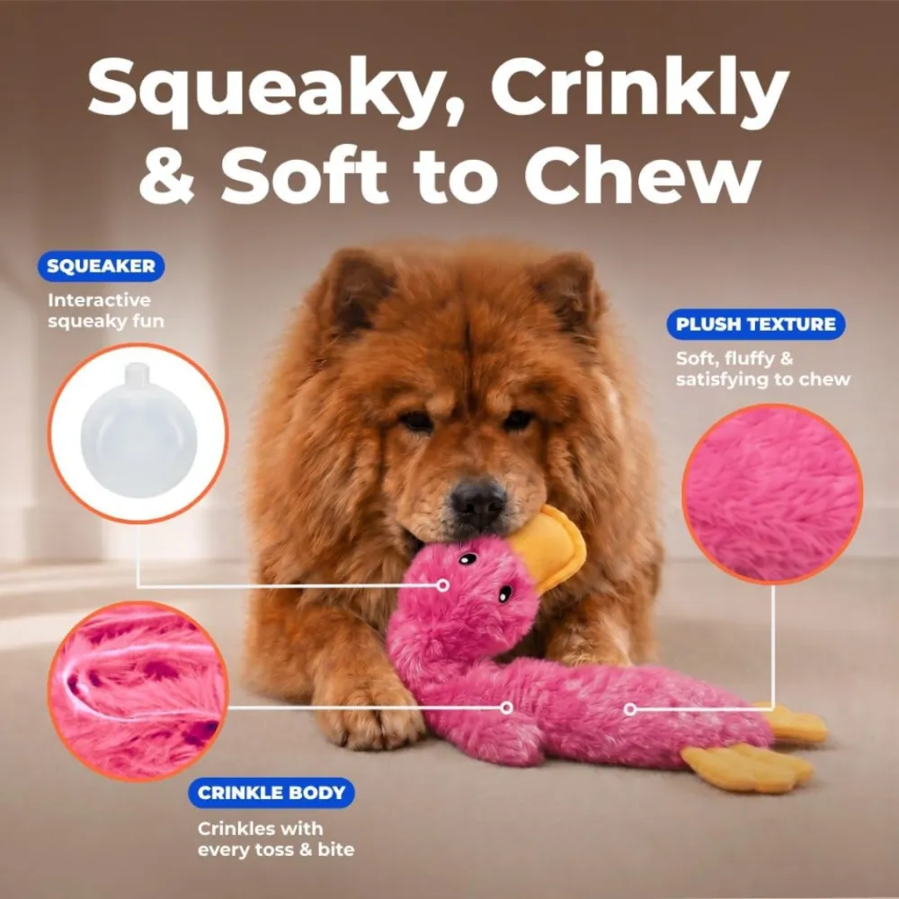 Interactive Squeaky Dog Chew Toy 5