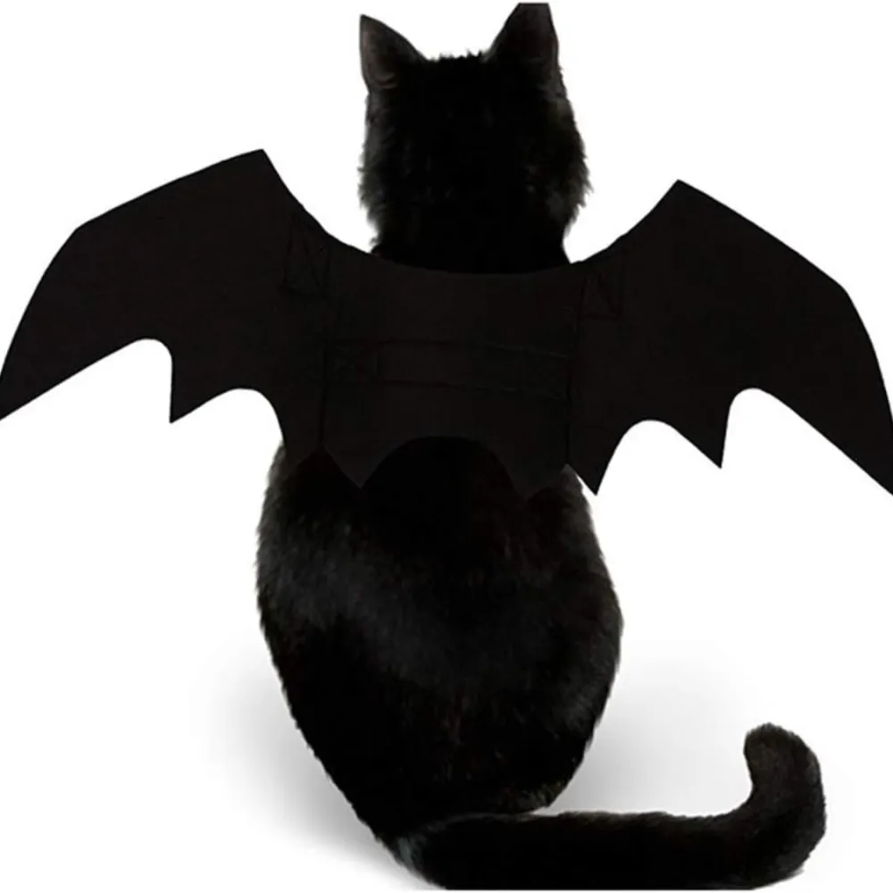Pet Cat Bat Wings For Halloween Party 3