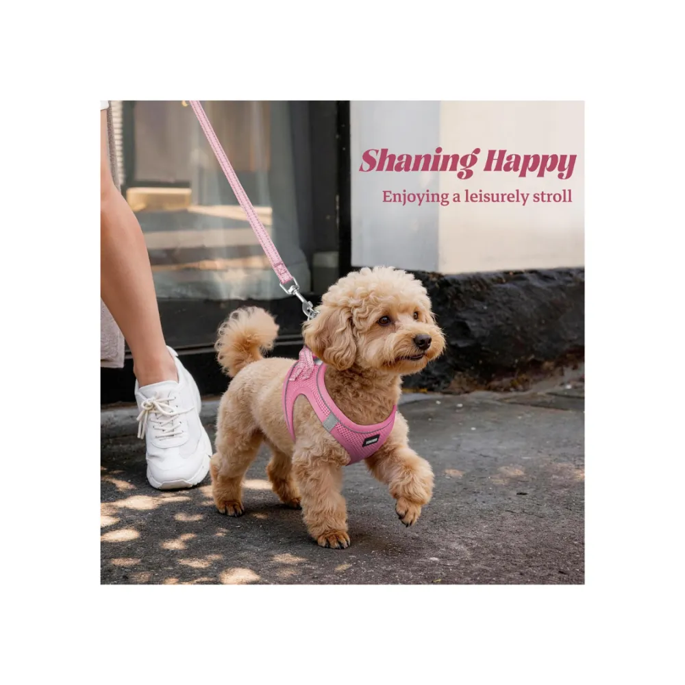 No Pull Dog Puppy Harness And Leash Set 3