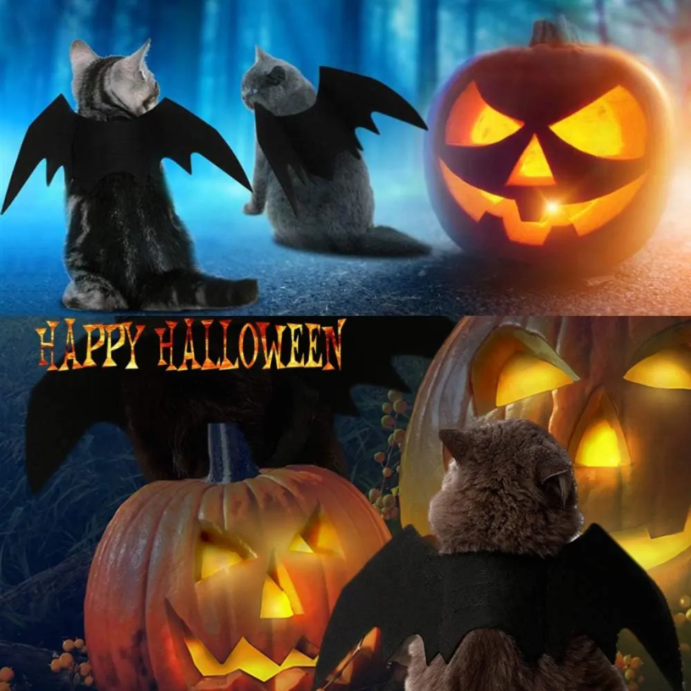 Pet Cat Bat Wings For Halloween Party 5