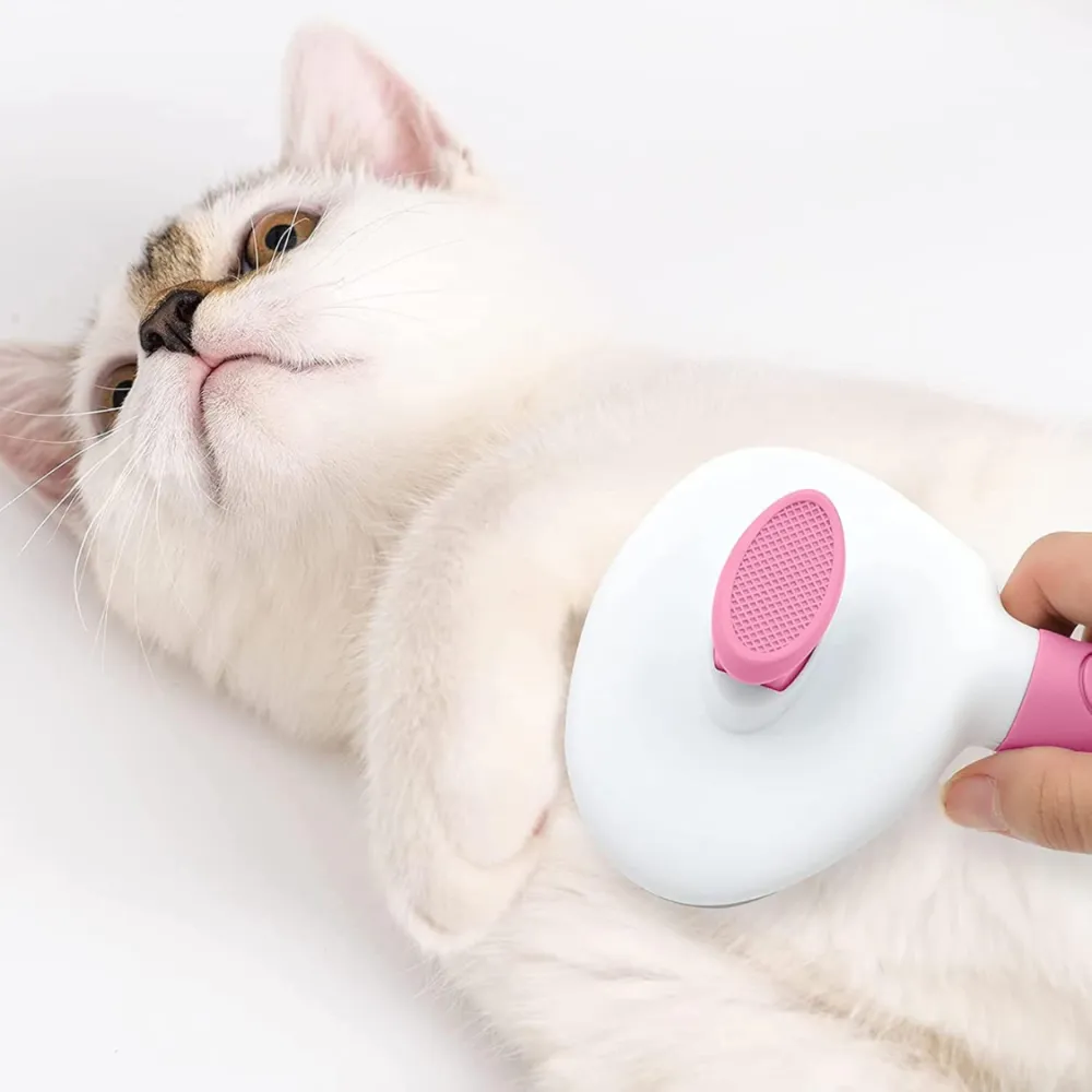 Cat Brushes For Indoor Cats 6