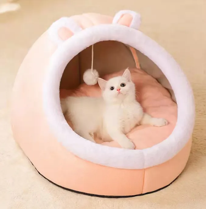 Four Seasons Universal Cat House Villa Home 5