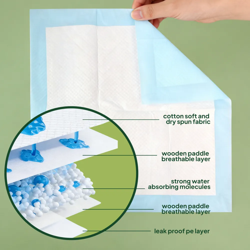 Disposable Dog Training Pads 3