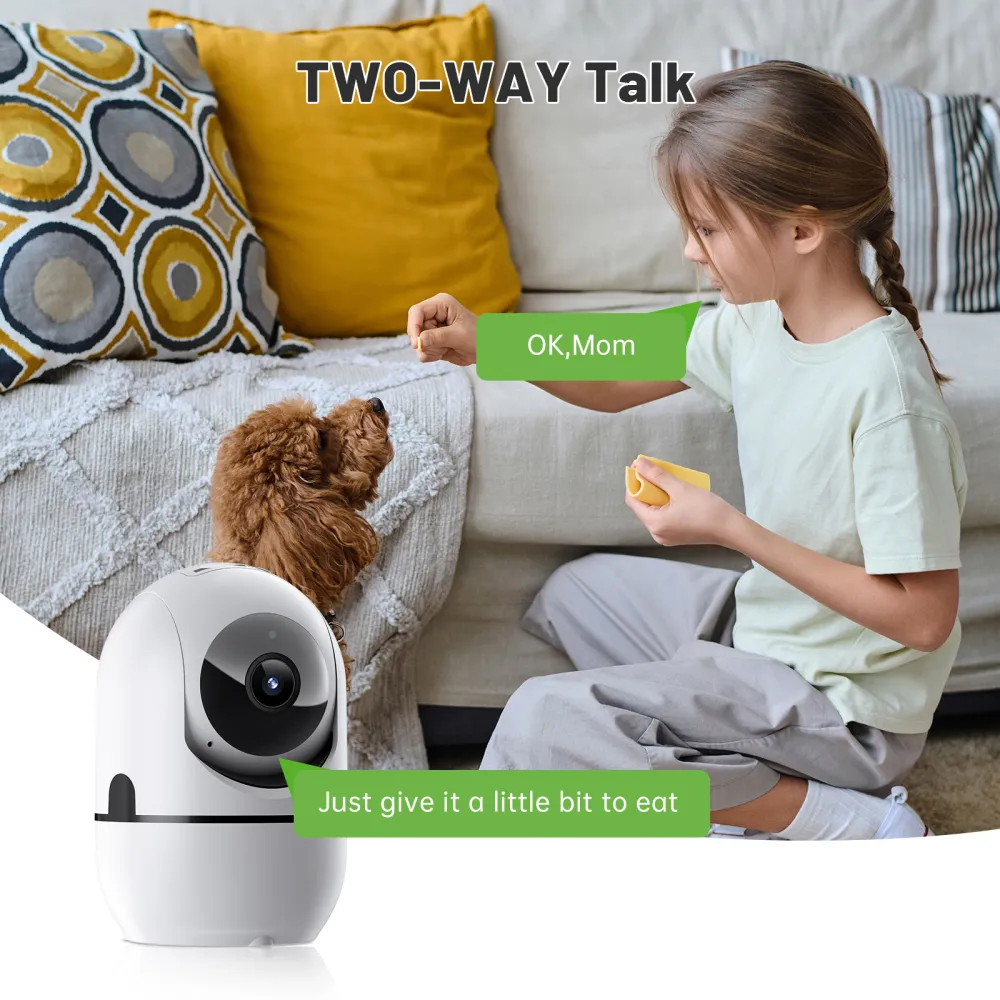 PTZ WiFi Camera with 2-Way Audio 5