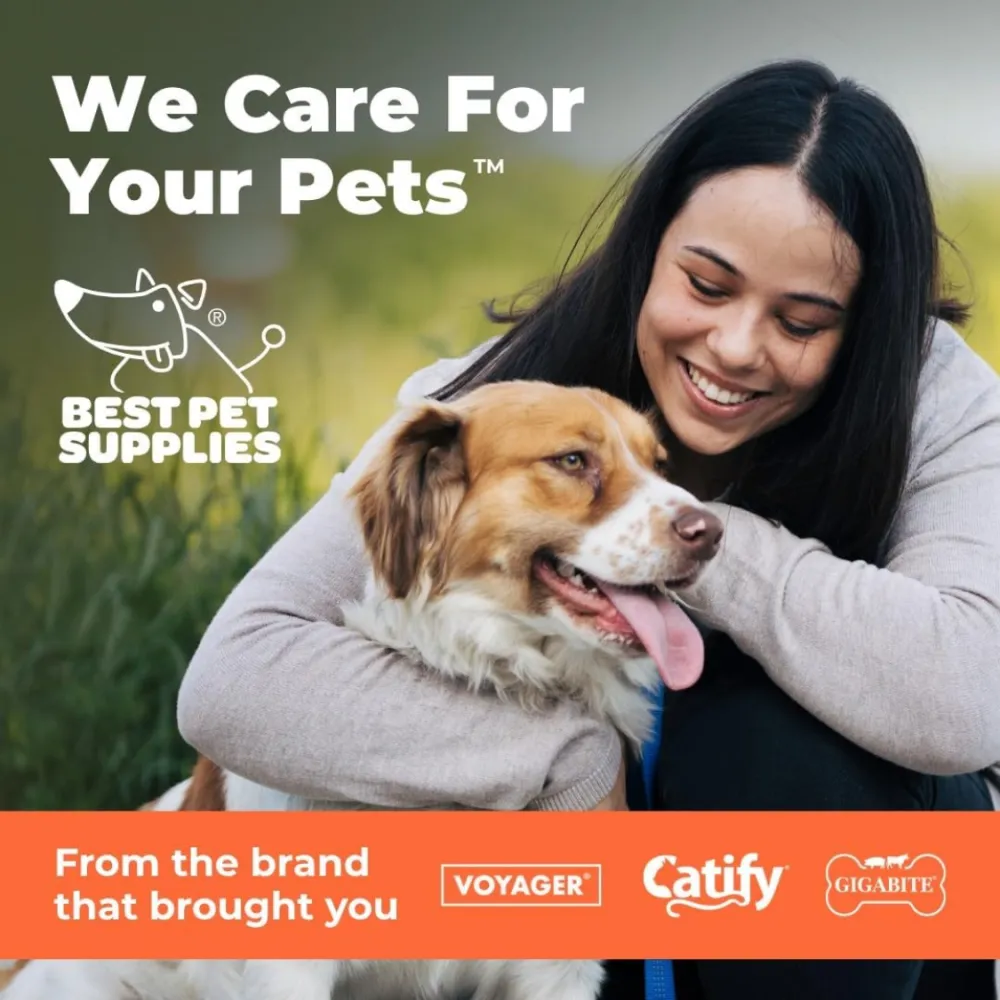 Interactive Squeaky Dog Chew Toy 6