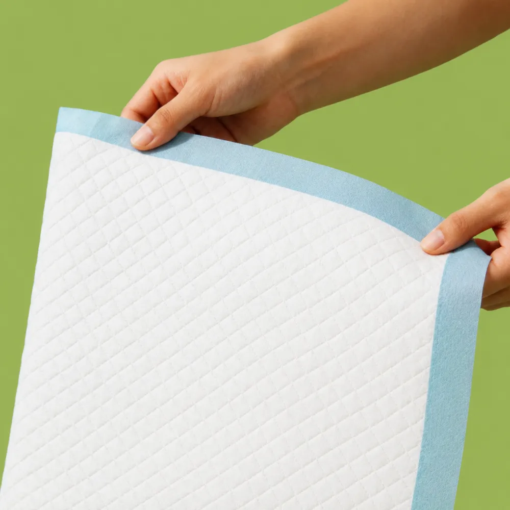 Disposable Dog Training Pads 10