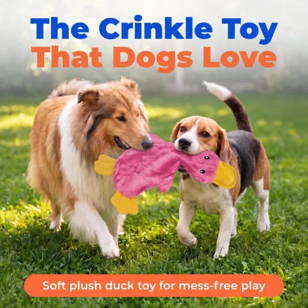 Interactive Squeaky Dog Chew Toy