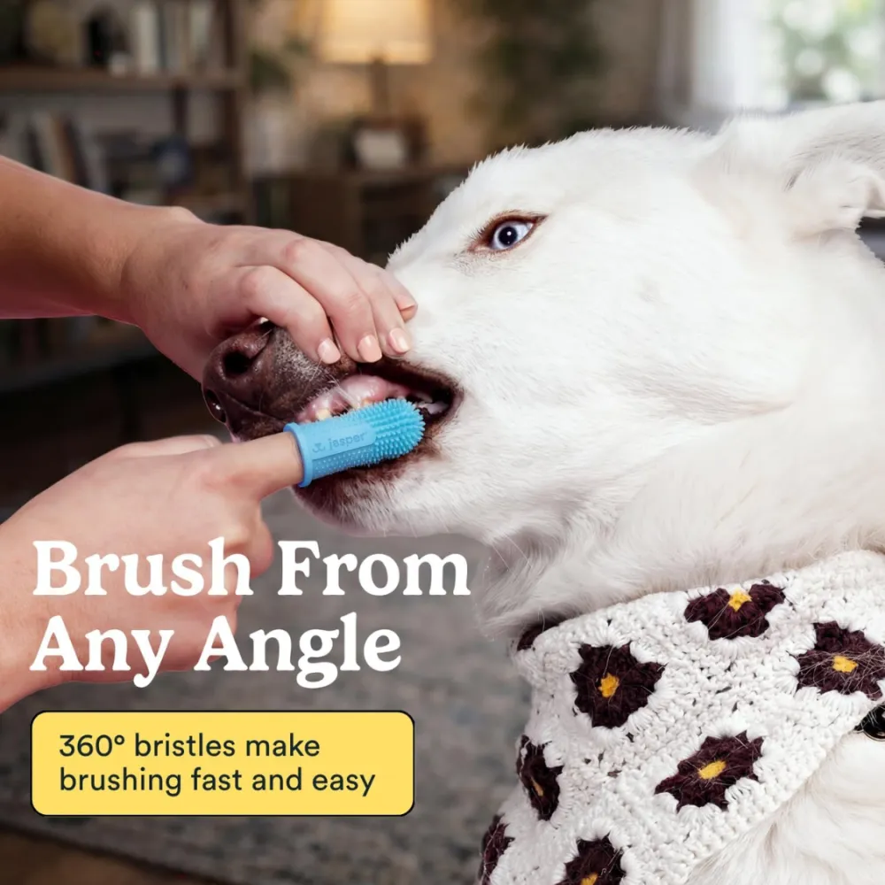 Dog Toothbrush 5
