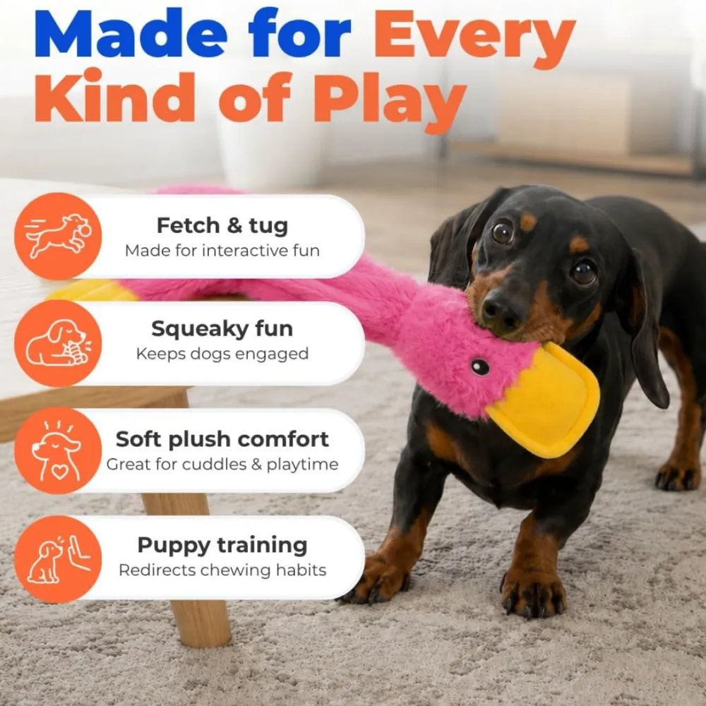 Interactive Squeaky Dog Chew Toy 4