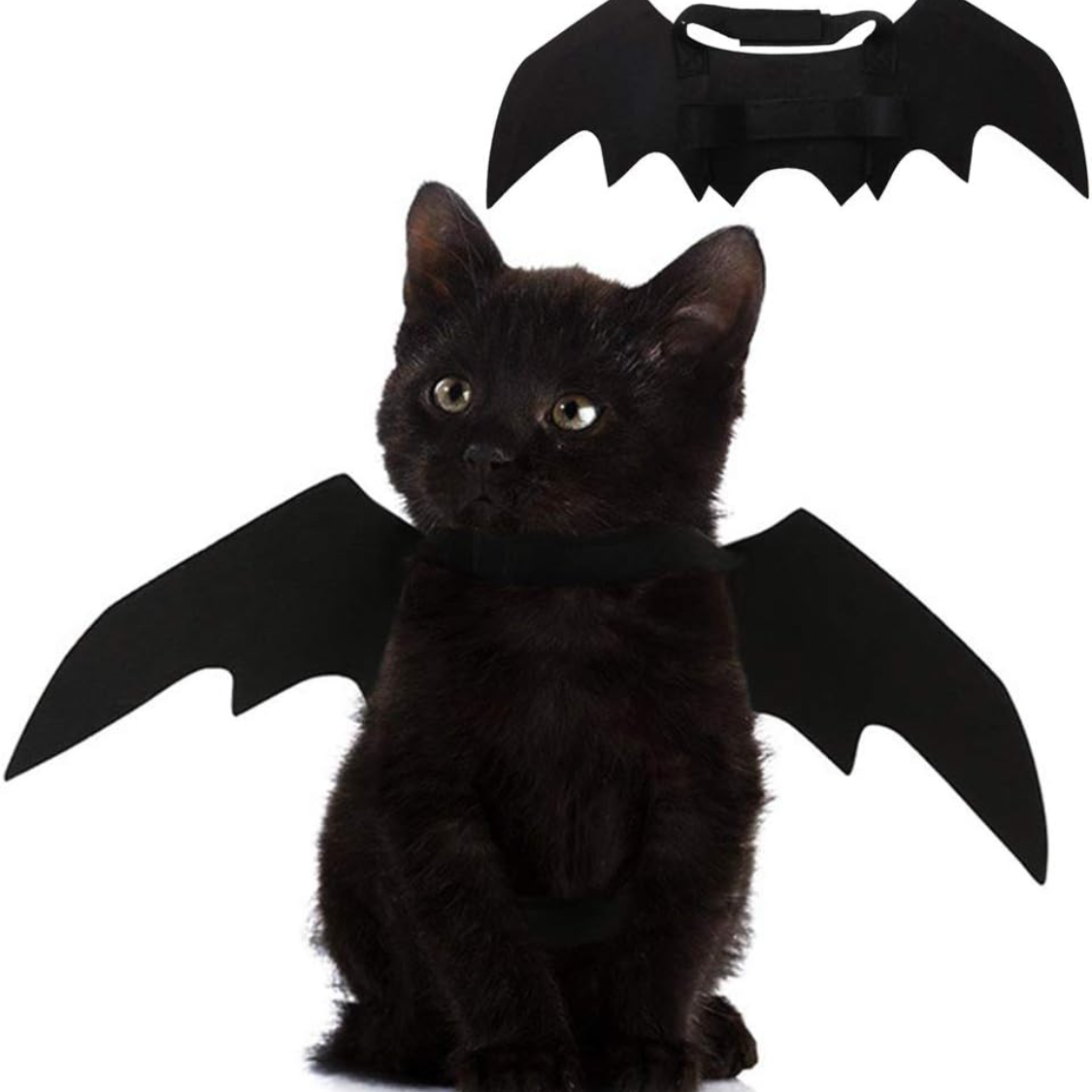 Pet Cat Bat Wings For Halloween Party
