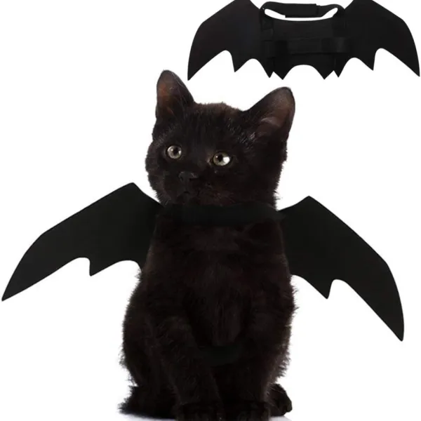 Pet Cat Bat Wings For Halloween Party