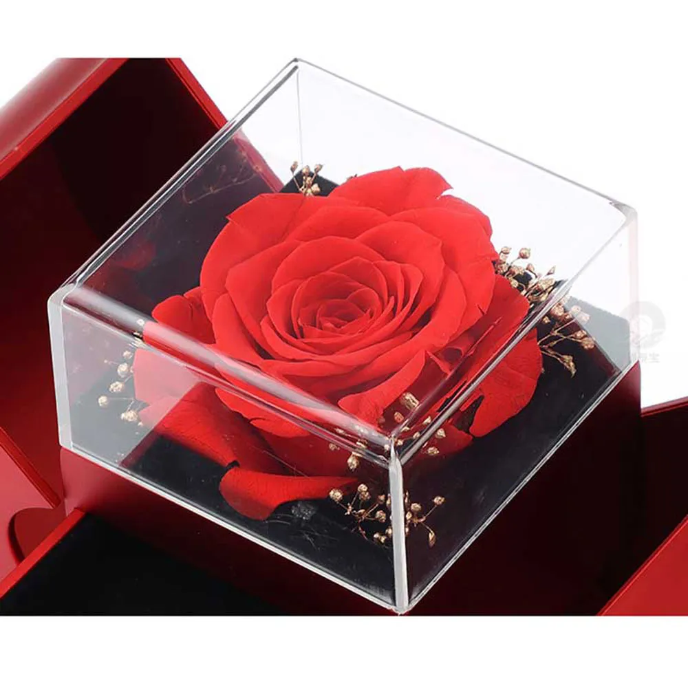 Fashion Jewelry Box Red Apple Christmas Gift 13