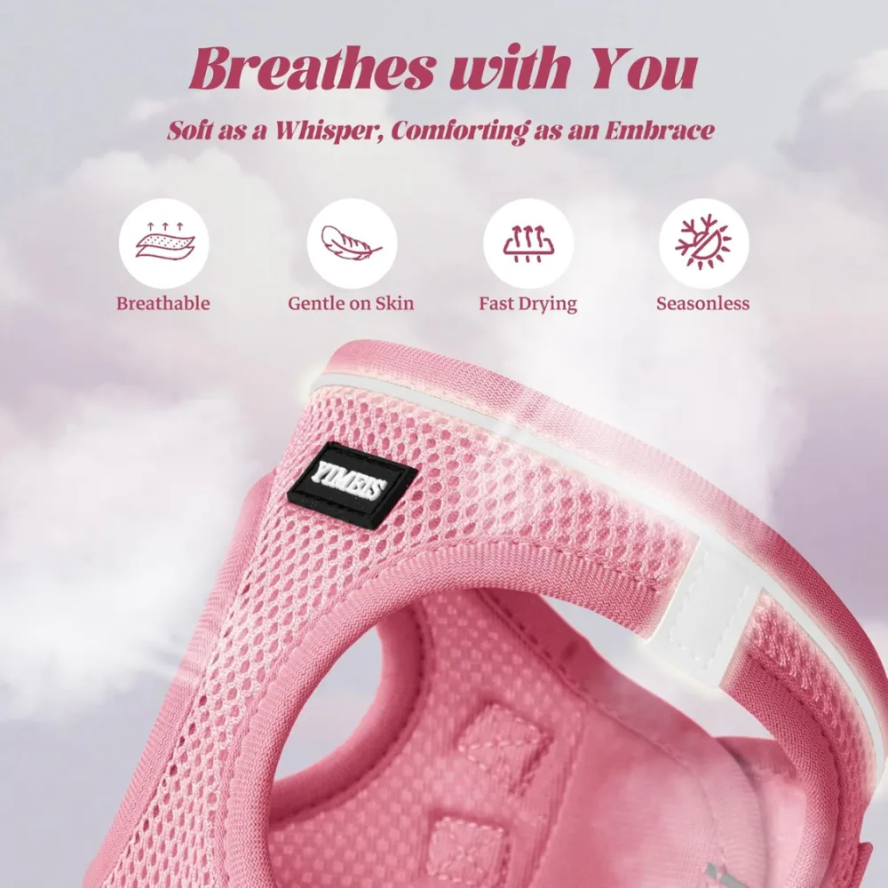 No Pull Dog Puppy Harness And Leash Set 6
