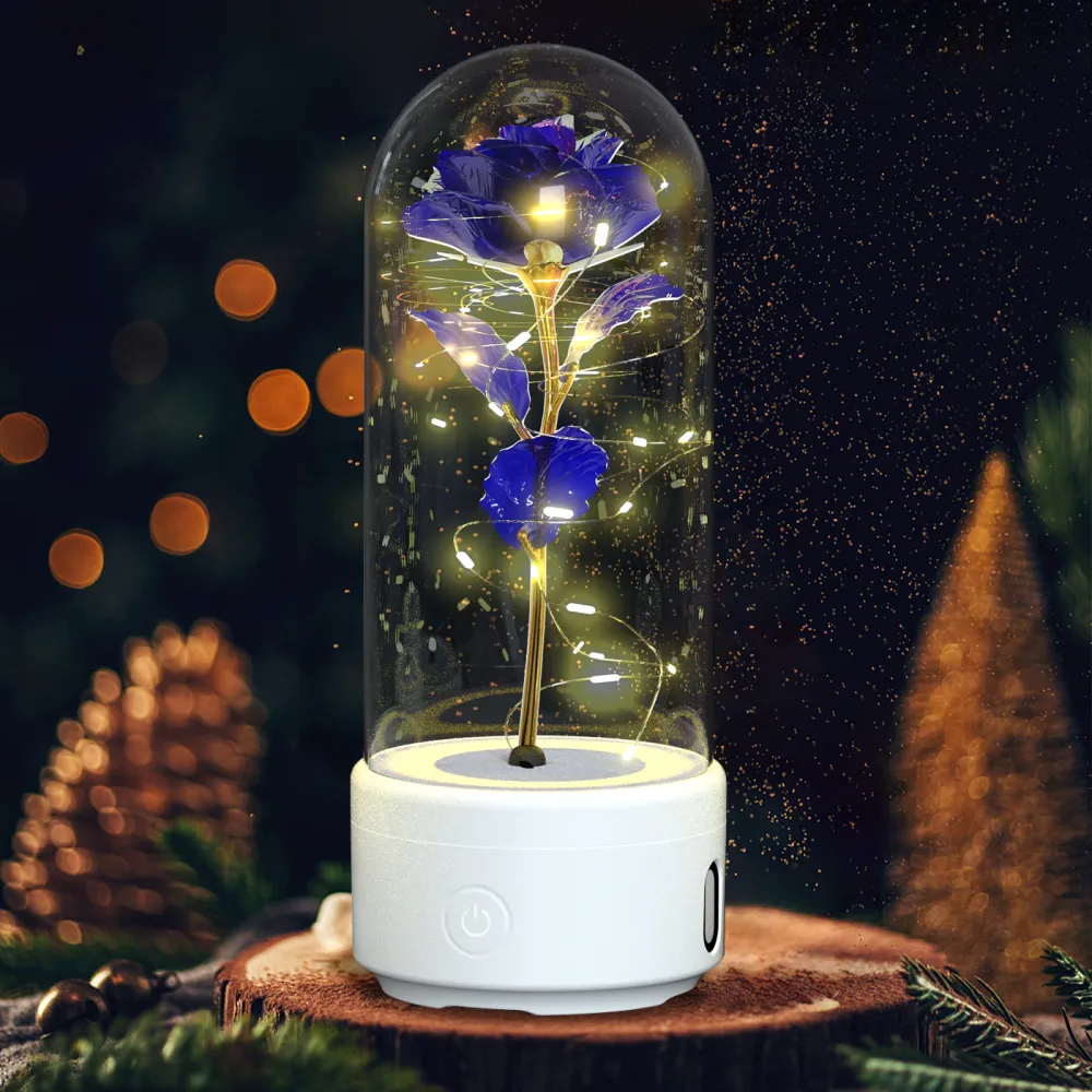 Creative 2 In 1 Rose Flowers LED Light 21