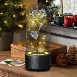 Creative 2 In 1 Rose Flowers LED Light 11