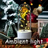 Creative 2 In 1 Rose Flowers LED Light 12