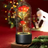 Creative 2 In 1 Rose Flowers LED Light 6