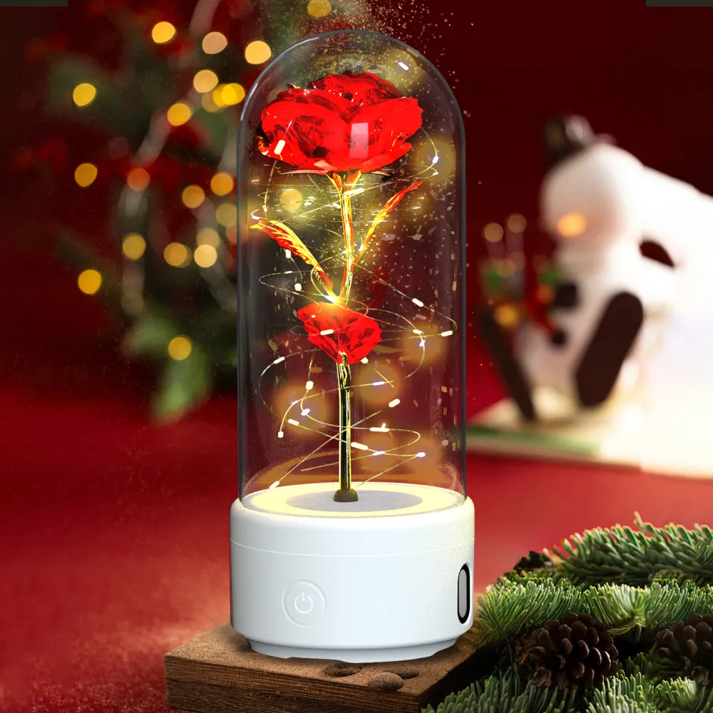 Creative 2 In 1 Rose Flowers LED Light 13