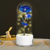 Creative 2 In 1 Rose Flowers LED Light 7