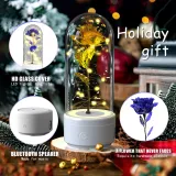 Creative 2 In 1 Rose Flowers LED Light 3