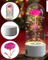 Creative 2 In 1 Rose Flowers LED Light 2