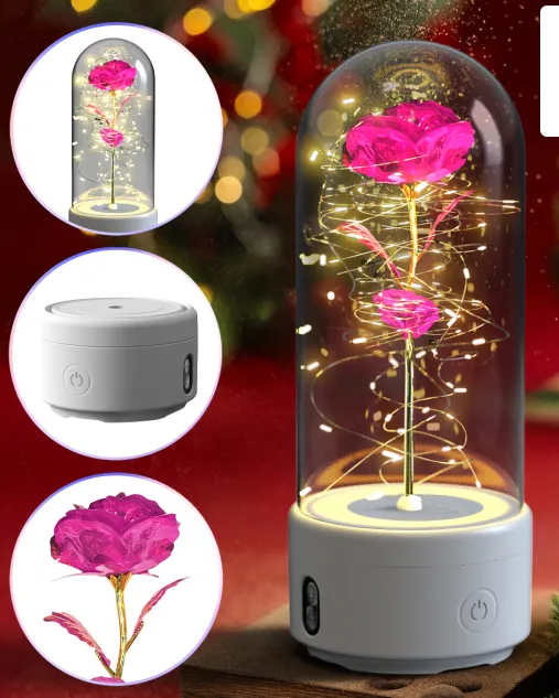 Creative 2 In 1 Rose Flowers LED Light 2