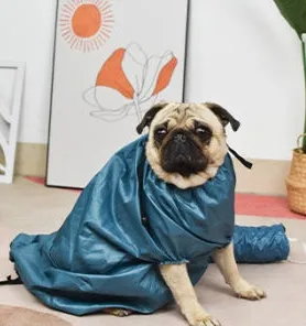 Automatic Drying Bag With Quick Drying Hair
