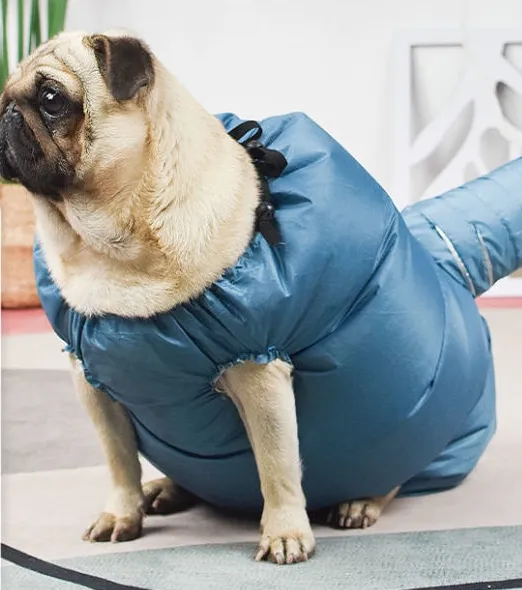 Automatic Drying Bag With Quick Drying Hair 2
