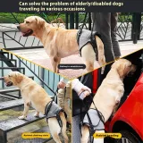 Elderly Dog Outing Back-style Auxiliary 5