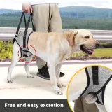 Elderly Dog Outing Back-style Auxiliary 3